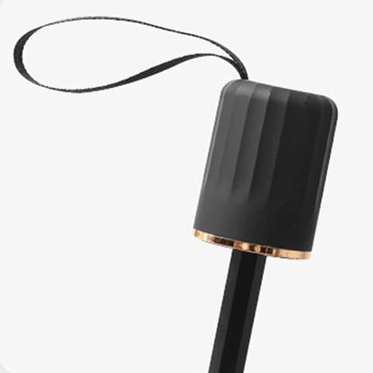 Opening and lockable debris for car