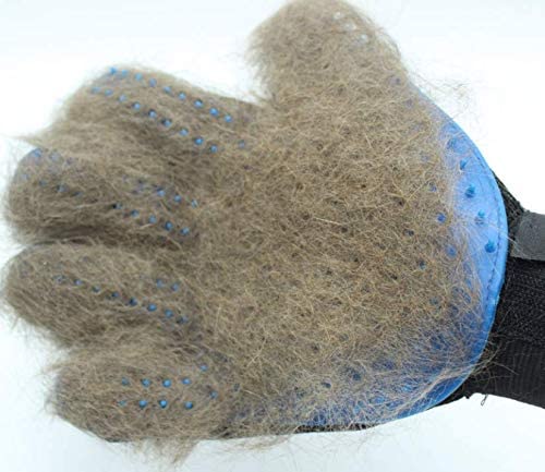 Cat Pet Cleaning Gloves Pet grooming Massage Gloves Silicone Dog Bath Massage Brush -Right Hand