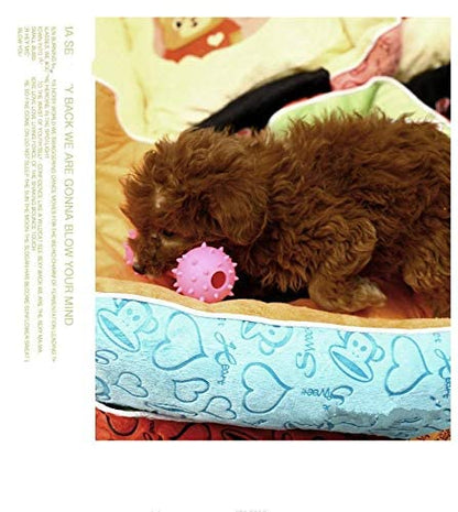 Pet dog chewing toy pet dog's molar bone toy