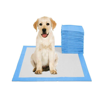 50pcs Pets Pee Pads Disposable Absorbent Quick Drying Leak-Proof Pads for Potty Training 60x90cm