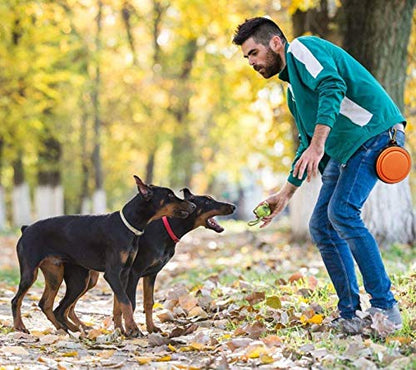 Collapsible Dog Bowl, Collapsable Pet Travel Bowls for Cats Dogs, Food Grade Silicone Dog Dishes, Portable Pet Feeding Watering Dish for Walking Hiking Camping Including Carabiners orange