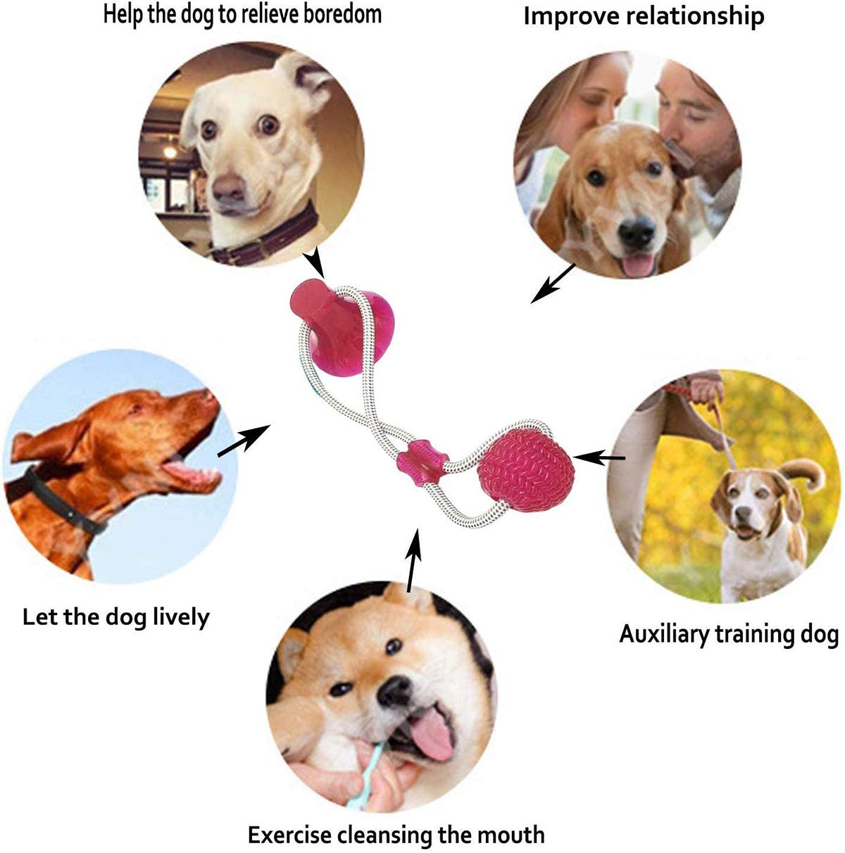 Makingtec pet molar bite toy, suction cup dog toy rubber chew toys interactive puppy training rope for teeth cleaning pet supplies