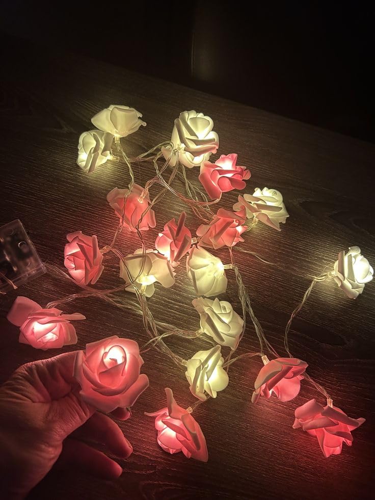 Branch Rose (20 LED) 2 Meter Plug - Mix Pink and White - Suitable for Special Occasions Engagement Party Baby Shower
