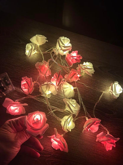 Branch Rose (20 LED) 2 Meter Plug - Mix Pink and White - Suitable for Special Occasions Engagement Party Baby Shower