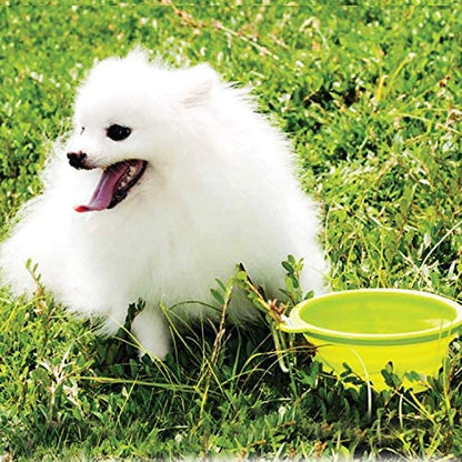 Silicone Portable Collapsible Bowl for Cat Pet Travel Water Food (Red)