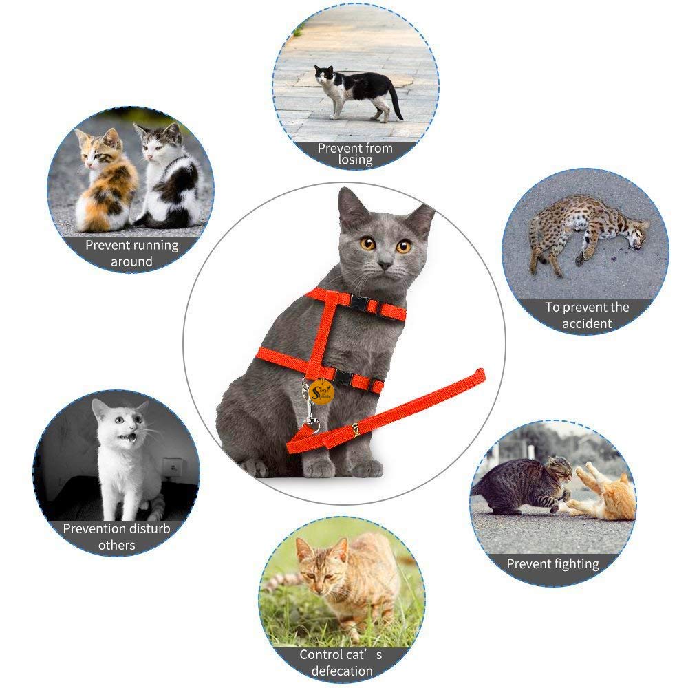 Sage Square Soft Adjustable Harness with Leash Rope Set for Cat/Kitten of Nylon (Orange)