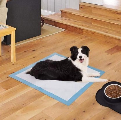 50pcs Pets Pee Pads Disposable Absorbent Quick Drying Leak-Proof Pads for Potty Training 60x90cm