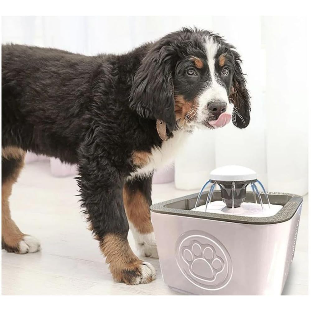 RIVUGJA Pet Water Fountain Dog Cat Water Fountain 2.5L Automatic Ultra Quiet Pet Water Fountain Water Dispenser with Filter Dog Bowl Dispenser with Super Long Life Span Pump Triple Filters