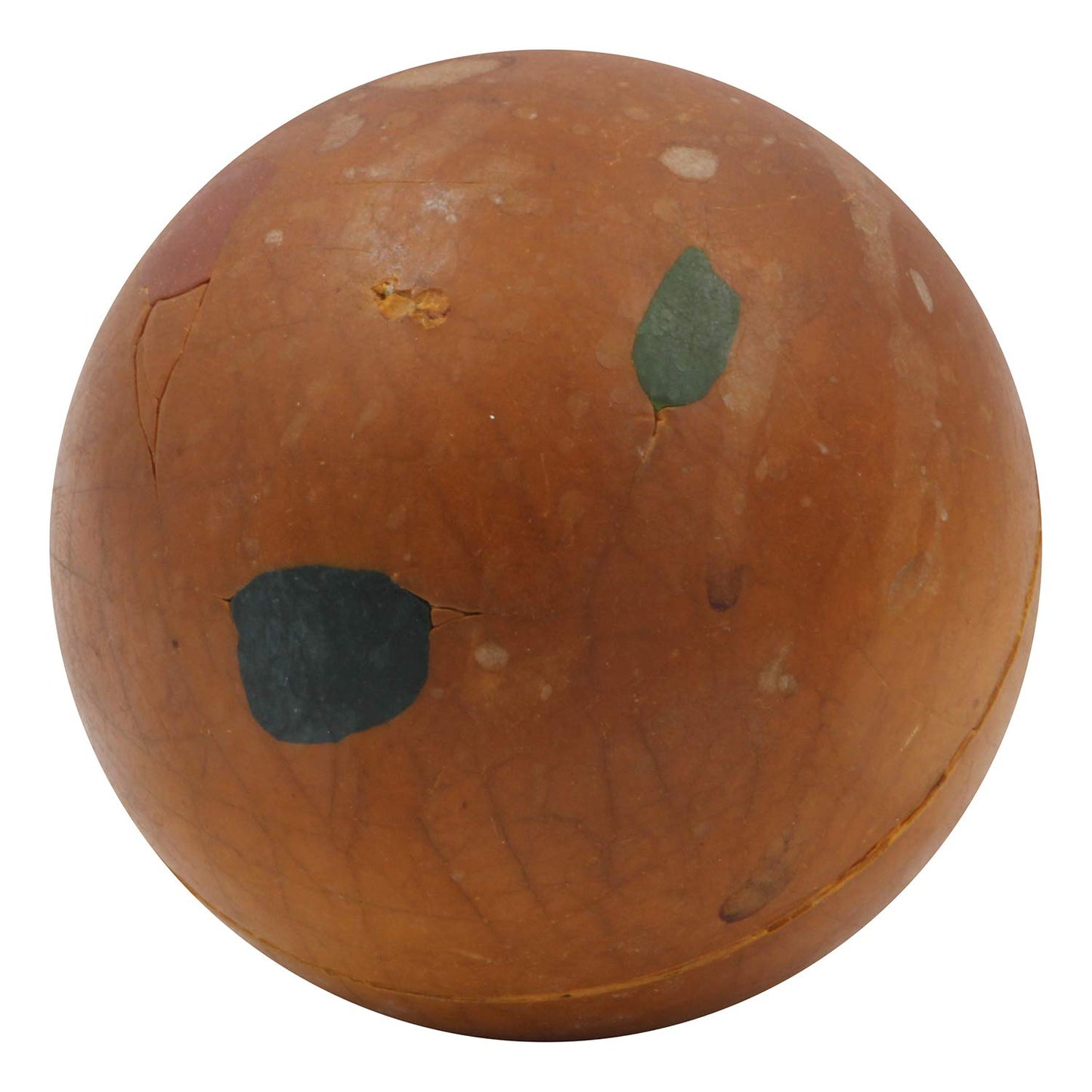 Big Shovel for Cleaning Litter (Green/Black)