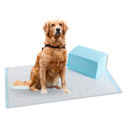 Extra Large Pet Training Pads, 50-Pack Disposable Leak-Resistant Mats, 60 x 90 cm Surface Protection for Dogs, Cats, and Small Pets