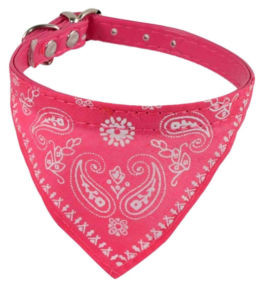 Bendana ring of the neck of animals No 1595 - 6