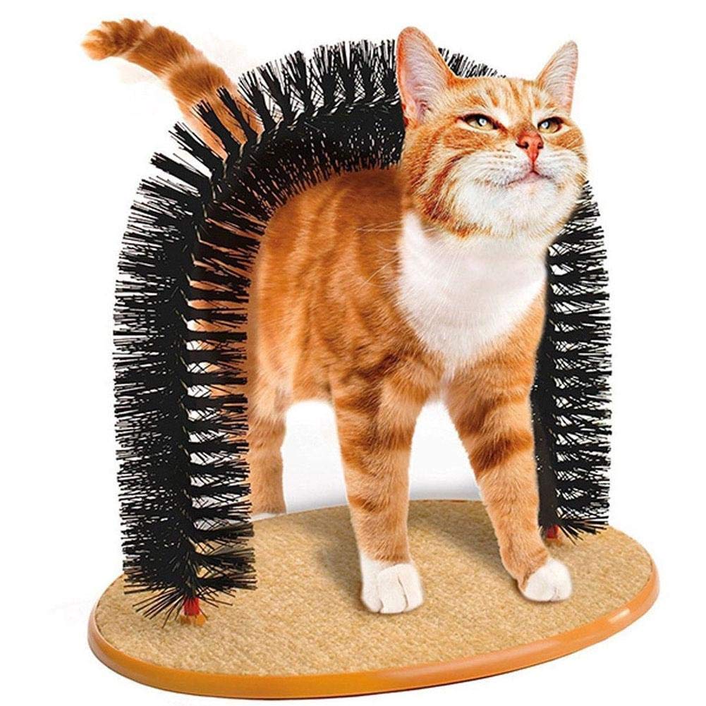 Arch Door Cat Dog Scratching Toy - Black