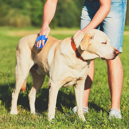 Excefore Dog grooming brush, Pet Bath Comb Brush, Which Helps to Soothe Massage, Rubber Comb, Adjustable Ring Handle, Suitable for Pet Cats and Dogs (Blue and Green)