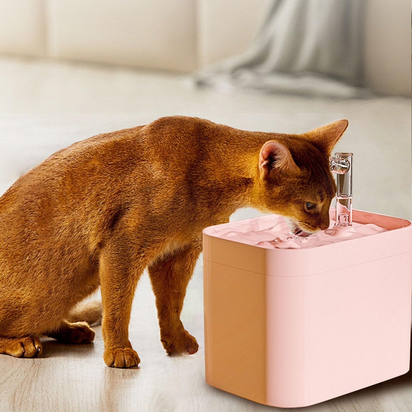 Water Fountain for Cats Without Electricity Stainless Steel Water Fountain with Motion Detector and Anti-Bacterial Water Filter