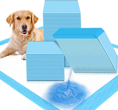 Imported Disposable Super Absorbant Puppy Pads (Blue, Pack of 80,60x90cm)