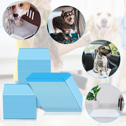 Imported Disposable Super Absorbant Puppy Pads (Blue, Pack of 100,60x90cm)
