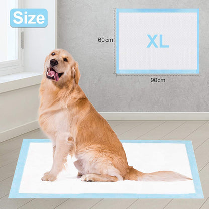 Imported Disposable Super Absorbant Puppy Pads (Blue, Pack of 100,60x90cm)