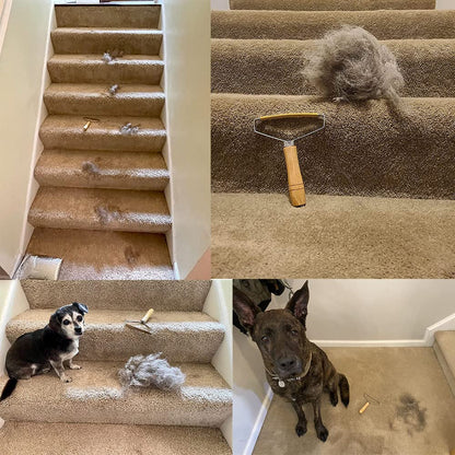 BUNEPO Portable Lint Remover,Pet Hair Cleaner,Portable Lint Remover,Lint Roller for pet Hair,Used to Remove Dust and Pet Hair from Clothes,Furniture,Curtains,Blankets,Sofas (2Pcs)