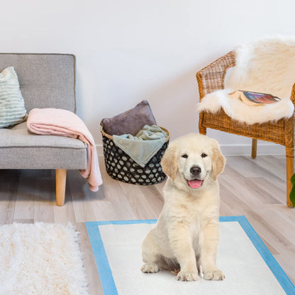 SKY-TOUCH Disposable Absorbent Quick Drying Leak-Proof Pee Pads for Potty Training for Pets, 45x60cm M - 50 Pieces