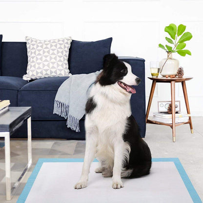 Other 50pcs Pet Pee Pads Disposable Absorbent Quick Drying Leak-Proof Pads for Potty Training, 45x60cm, Blue