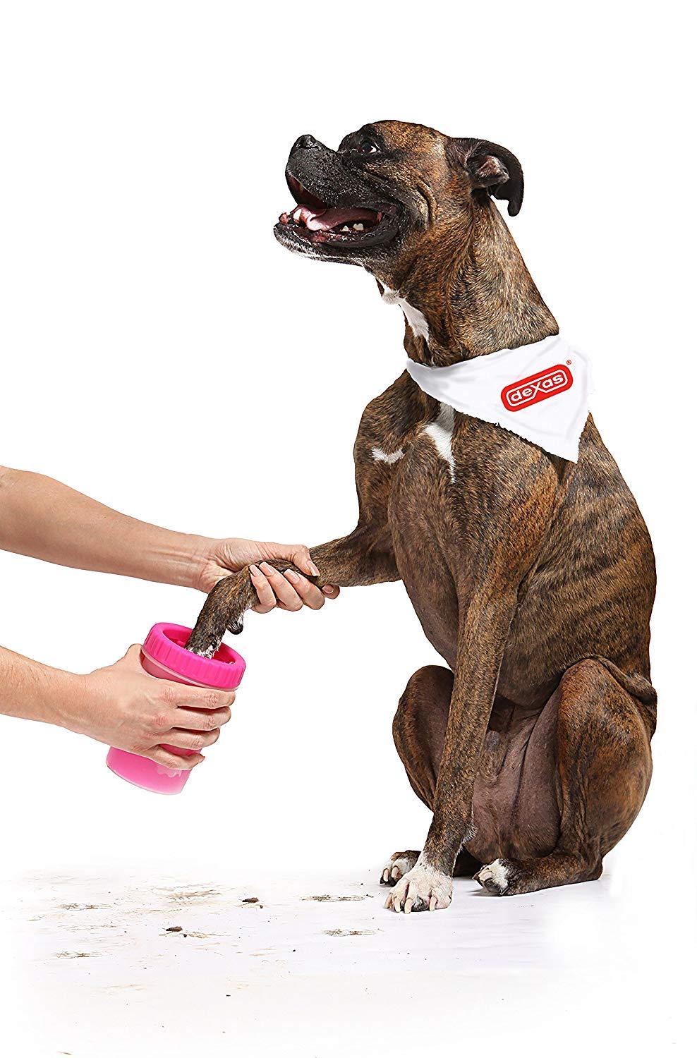 Dog Foot Washer Cup Pet Grooming Wash Tools Soft Gentle Silicone Bristles Pet Brush Quickly Cleaning Paws Muddy Feet