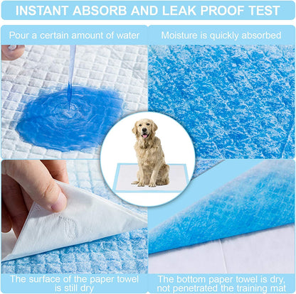 Imported Disposable Super Absorbant Puppy Pads (Blue, Pack of 100,60x90cm)