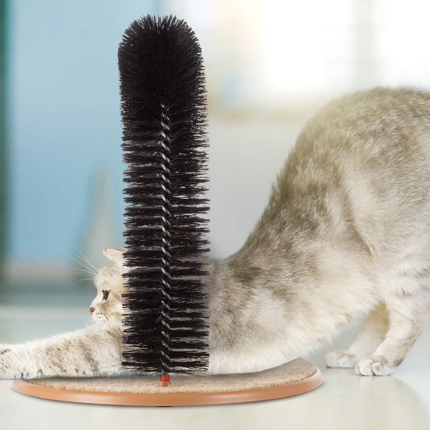 Self-Groomer and Massager for Cats, Arched Bristle Brush for Shedding and Scratching, Easy to Assemble, Black, 29.45 x 19 x 6.7 cm