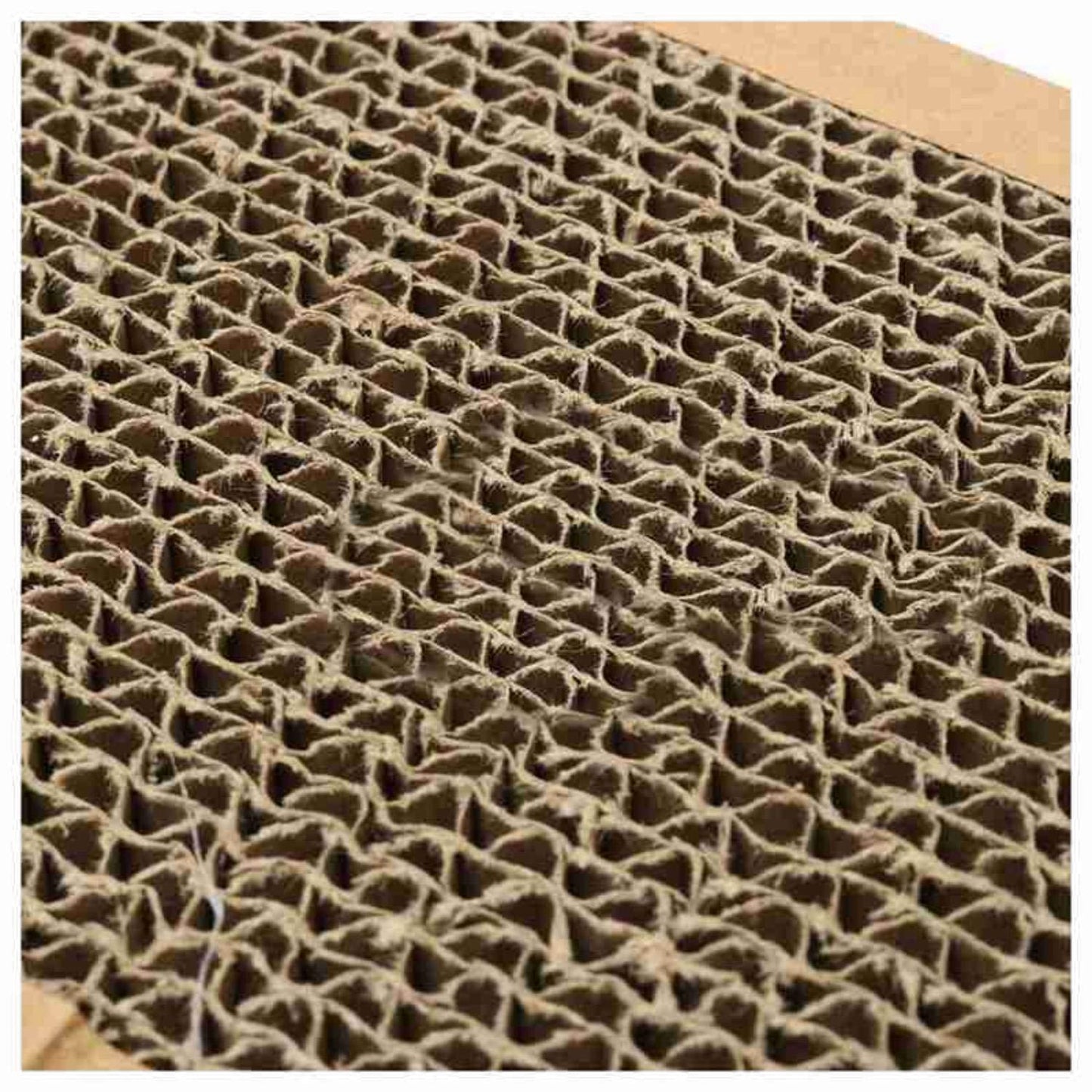 Tamkyo kitten scratch board pad corrugated scratcher soft bed mat claws care toys