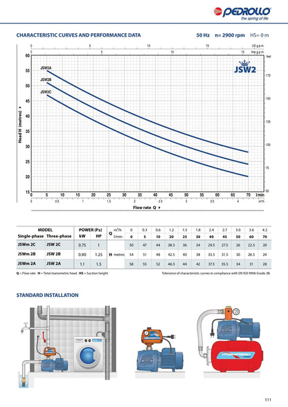 Pedrollo Self Priming Jet Water Pump (1 HP, JSWM2C)