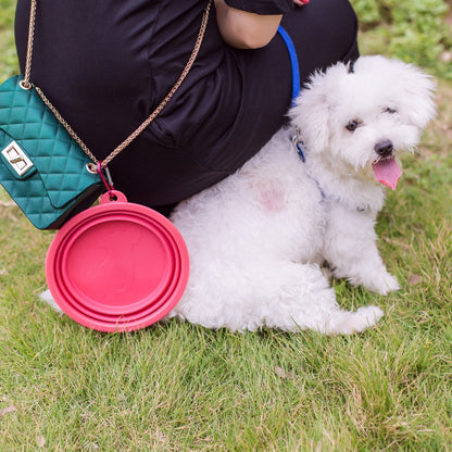 Silicone Collapsible Bowl, Portable Cup for Cat Pet Travel Water Food