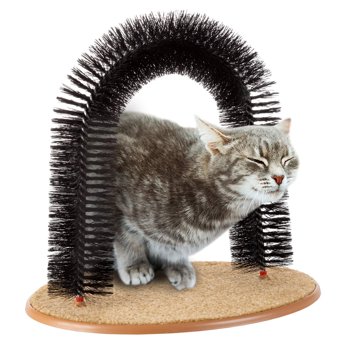 Self-Groomer and Massager for Cats, Arched Bristle Brush for Shedding and Scratching, Easy to Assemble, Black, 29.45 x 19 x 6.7 cm