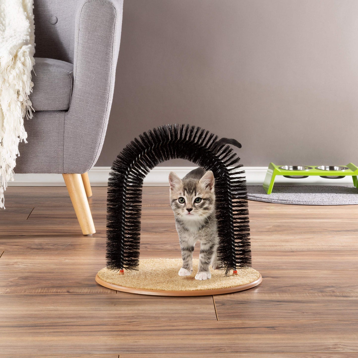 Self-Groomer and Massager for Cats, Arched Bristle Brush for Shedding and Scratching, Easy to Assemble, Black, 29.45 x 19 x 6.7 cm