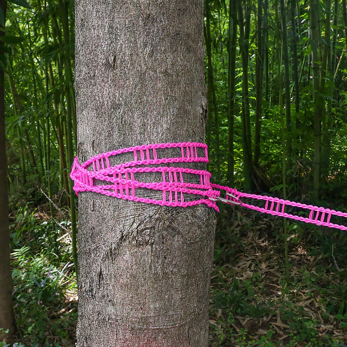 wecan 3Pack 5m/ 16.4ft Washing Line, Outdoor Windproof Clothesline, Portable Clothes Line for Clothes Drying, Airer Windproof Non-slip Rope Elastic Laundry Line, Use for Outdoor Camping Travel Hanger